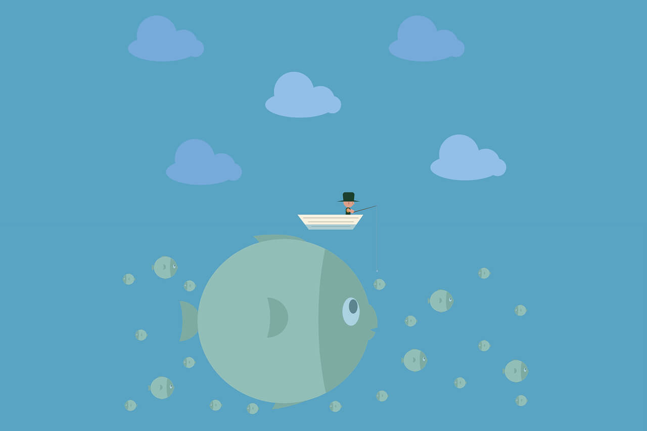 三号动漫_5.3.8 | 最新版动漫追番神器，双端版本安卓+IOS